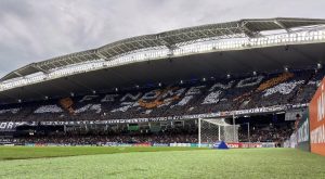 Mosaico 'Fenômeno Azul' realizado pela torcida - Foto: Samara Miranda/Ascom