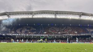 Segundo mosaico do Leão era 'fixo' - Crédito: Samara Miranda/Ascom