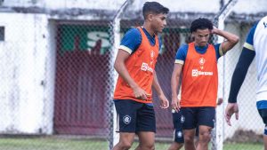 Lateral do Leão - Crédito: Samara Miranda/Remo